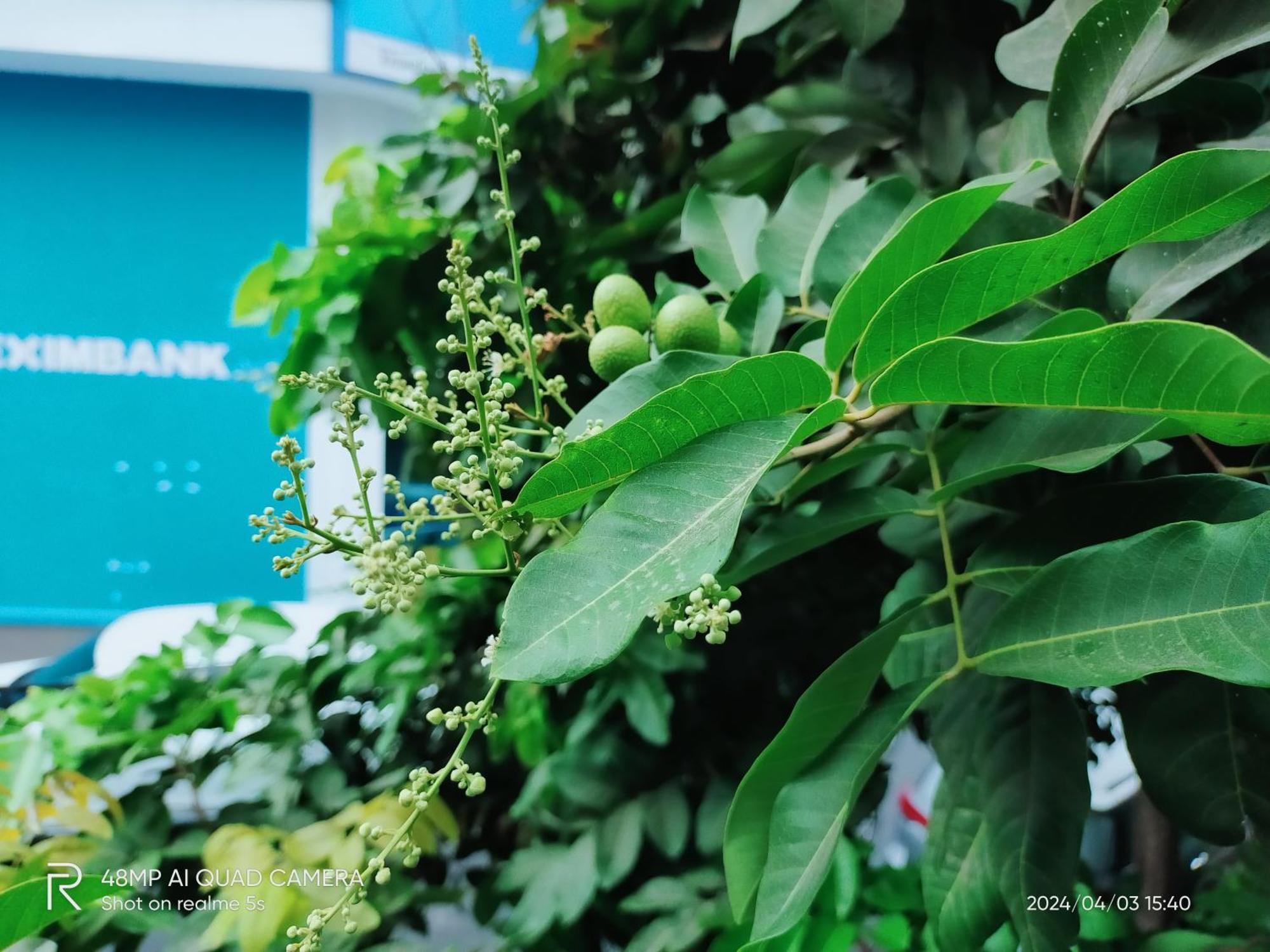 Shusimi House & Boutique Near Tan Son Nhat Airport ホーチミン市 エクステリア 写真